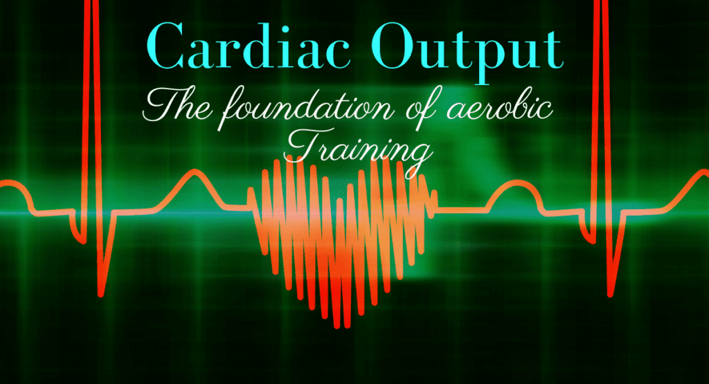 run faster.  cardiac output