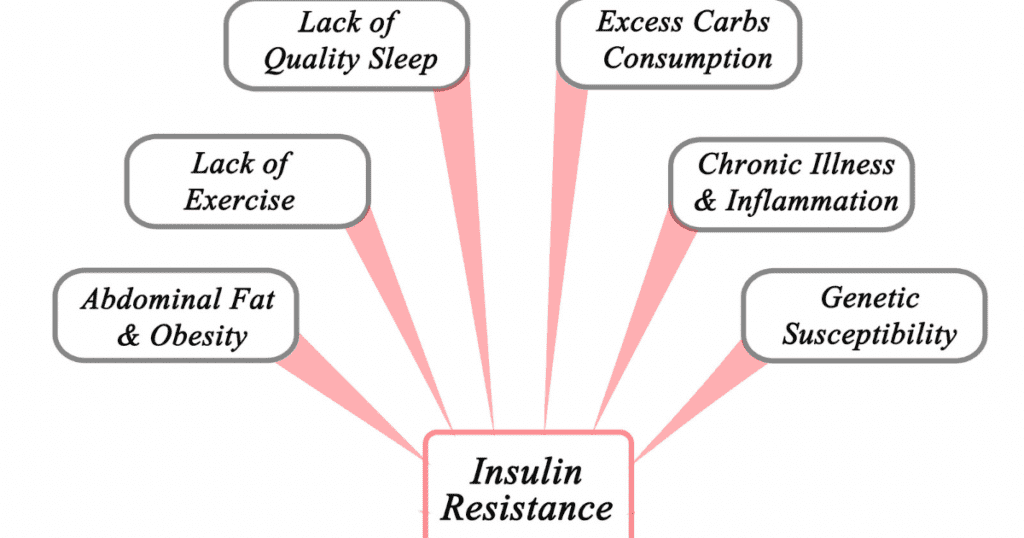 fasting and insulin resistance